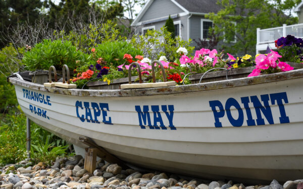 "Triangle Park" taken by Michelle Giorla bit.ly/42Pjsnv #lovecapemay #capemay