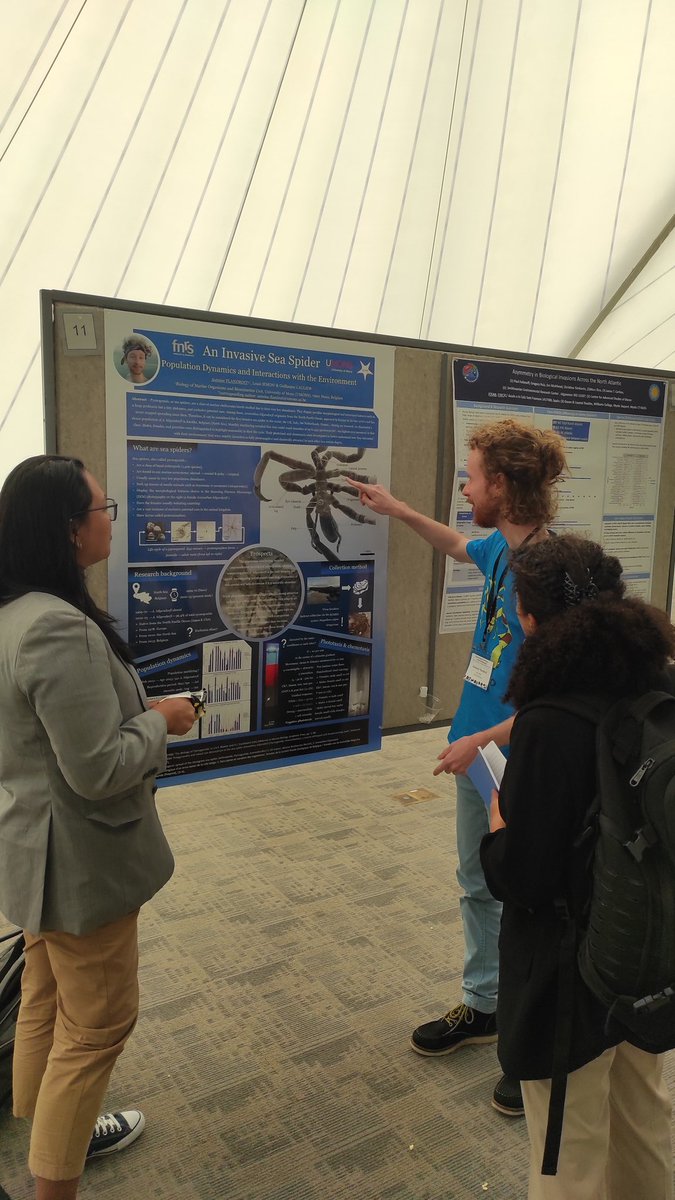 AntoFla04's tweet photo. It was so cool presenting my work on #invasive #seaspider at #ICMBXI ! See u in two years in Madeira 😎 @MarBioinvasions 
#pycnogonid 
#invasivespecies 
#MarineBiology https://t.co/EabaS7wk8x