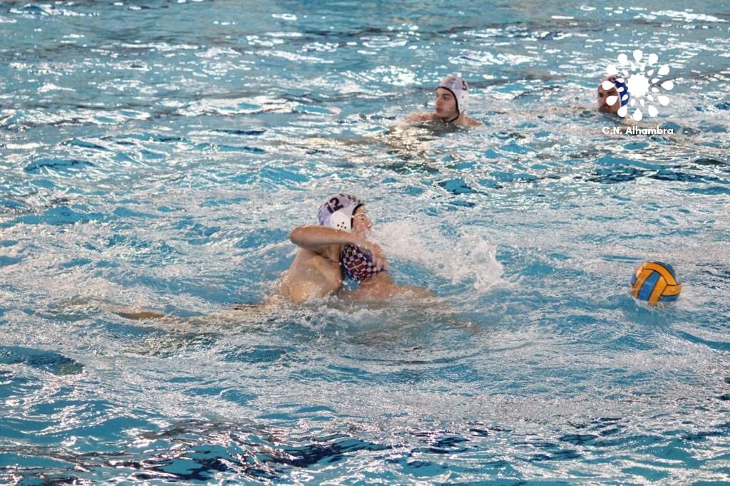 Club Natación Alhambra tweet media