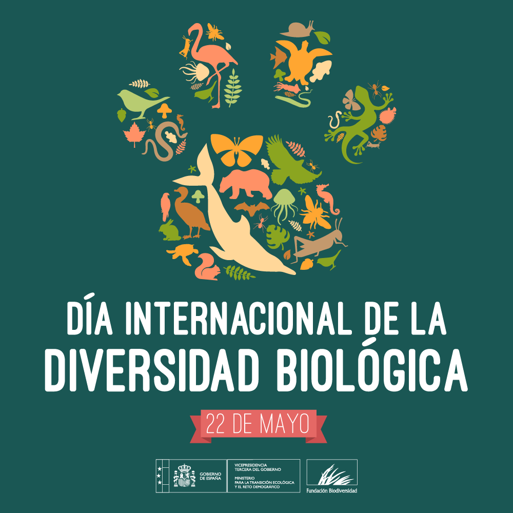 Nuestro país 🇪🇸 es un auténtico referente a nivel mundial en cuanto a riqueza y protección de la #biodiversidad 🌳🐻🦋🐬🌹

Un privilegio pero también una importante responsabilidad 💪💪

#DíaDeLaBiodiversidad #DíadelaDiversidadBiológica