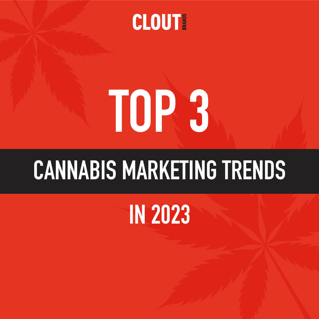 CloutBrands's tweet photo. Here are the Top 3 trends you should look out for in 2023 and probably include in your marketing strategy:

1. OOH advertising
2. Brand activation
3. Cross-promotion

#cannabisindustry #cannabismarketing https://t.co/KoVsZY3PJb