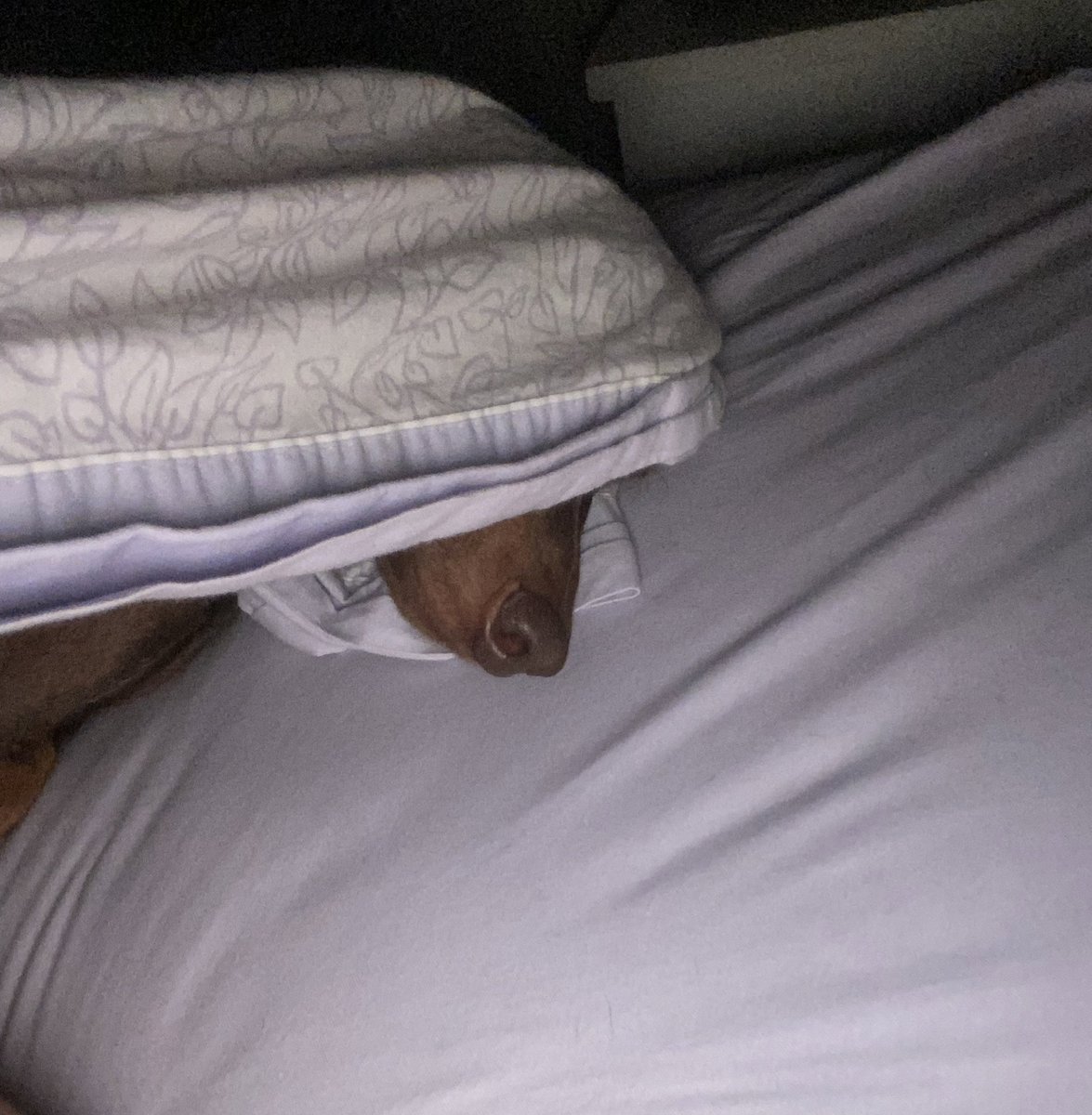 Tuve que salir de la cama teniendo esta imagen al lado no es fácil la vida de una madre