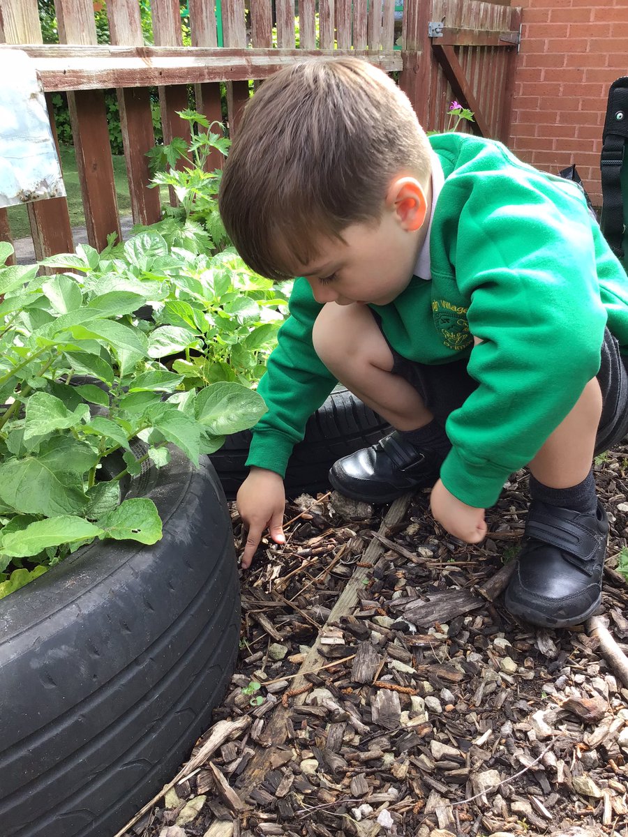 BVPSRecp's tweet photo. Observing and recording observations outside. #bvpseyfs #bvpsscience #bvpsart #bvpscomputing https://t.co/ai91pwhnXb