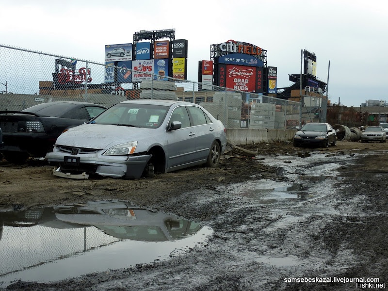 Марина Князева tweet media