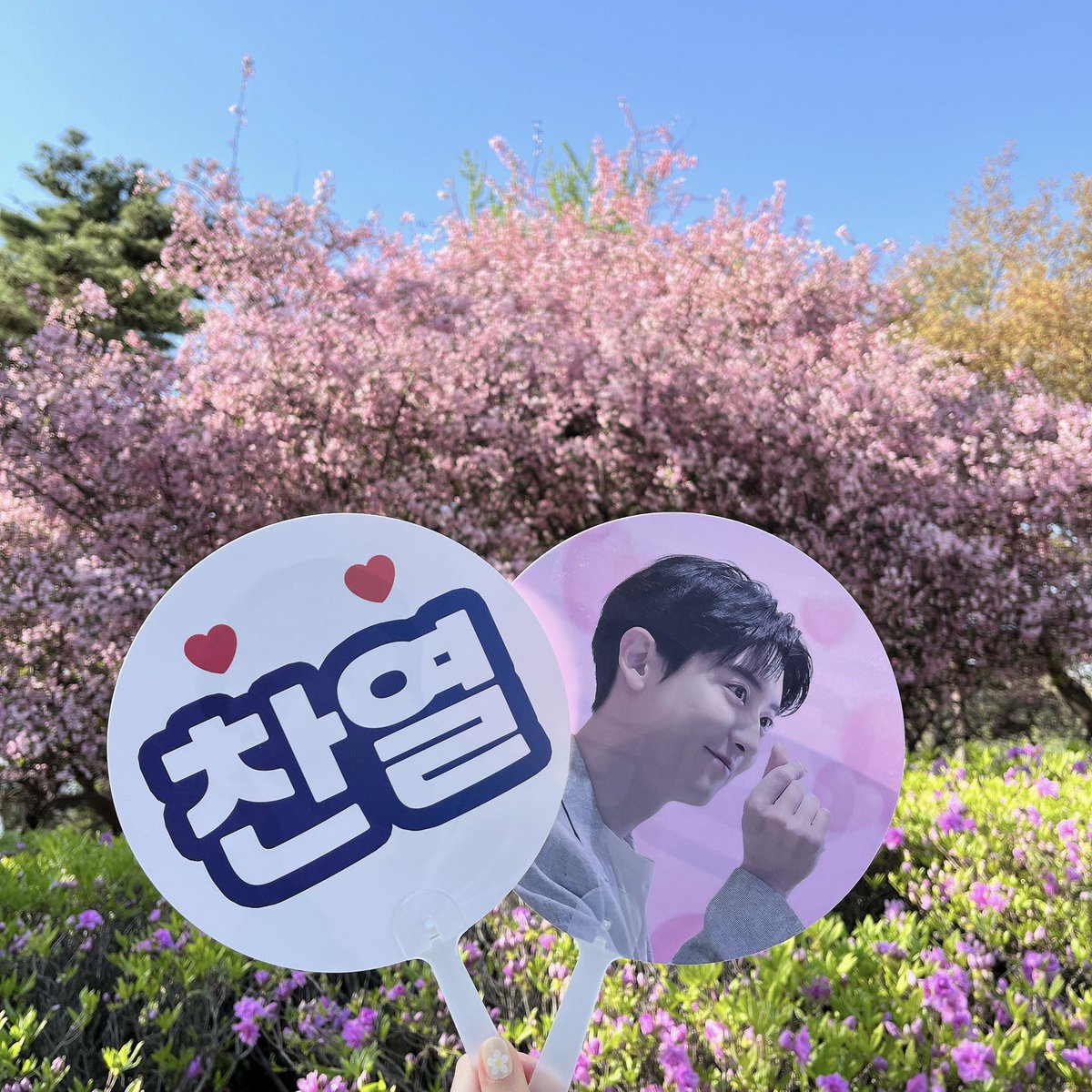We will distribute a hand fan for CHANYEOL in EXO-SC Fancon MANILA🇵🇭

🔥Please show PHYSICAL CY Official photo cards, goods or CY items🍒 

The time and location will be announced tomorrow. Stay tuned our tweet! 

#EXOSC_BackToBack_in_mnl
#EXOSCinMNL