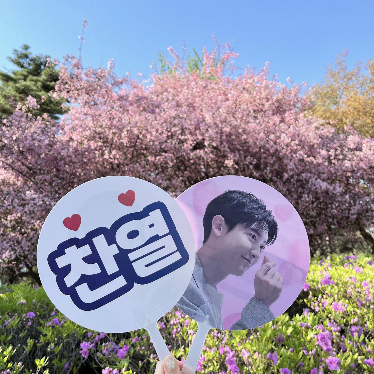 We will distribute a hand fan for CHANYEOL in EXO-SC Fancon Manila🇵🇭

🔥Please show PHYSICAL CY Official photo cards, goods or CY items🍒 

The time and location will be announced tomorrow. Stay tuned our tweet! 

#EXOSC_BACKTOBACK_IN_MNL 
#EXOSCinMNL