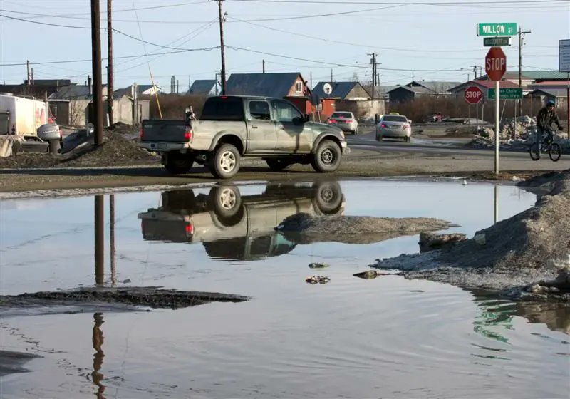 Марина Князева tweet media