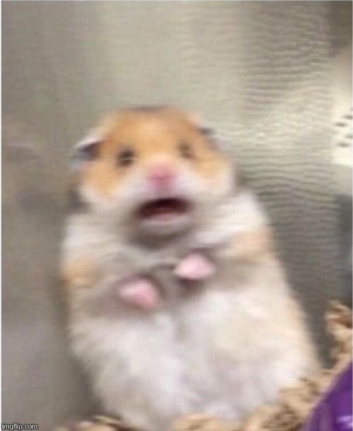 WilfWhyman's tweet image. Dora when the Amazon driver delivers her parcel #edexcel #psychology #Alevels #alevel2023 #ALevelPsychology