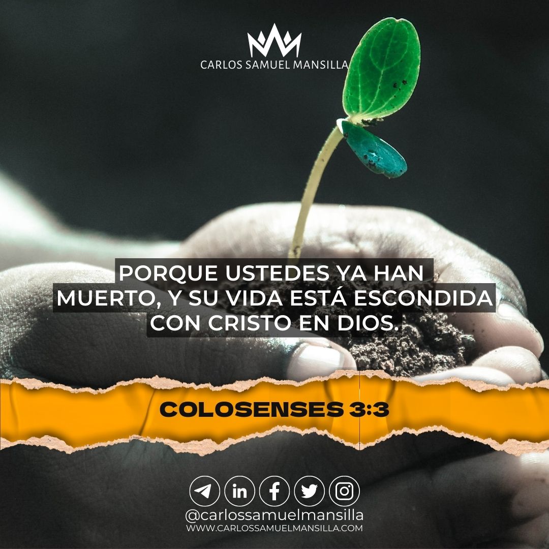 CarlosSamuelOK's tweet image. ➡️¿¡Qué más podríamos querer!?⬅️
🔥🔥🔥 ¡Nuestra vida está escondida con Cristo en DIOS! 🥹
☝🏻 #Bendiciones
📖 #Colosenses 3:3
~

🏷 #BuenViernes #FelizViernesATodos #FelizViernes