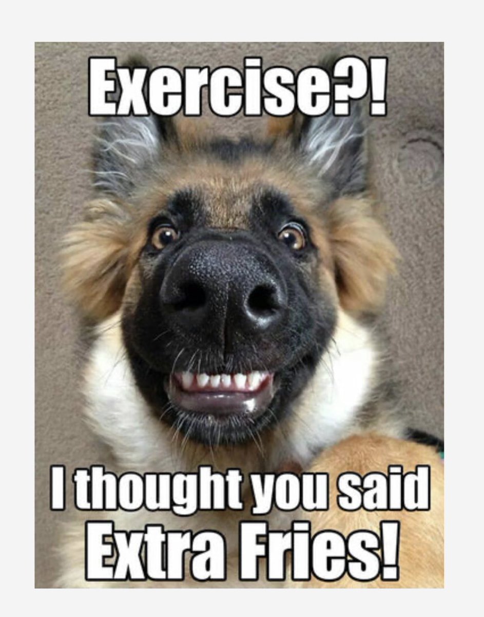 schmoozequeen's tweet photo. #Exercise or #ExtraFries this long weekend?🏃‍♀️🍟🏃‍♂️🇨🇦
You choose! #VictoriaDay #LongWeekend #CanadaLongWeekend https://t.co/VpMnzxHVDL