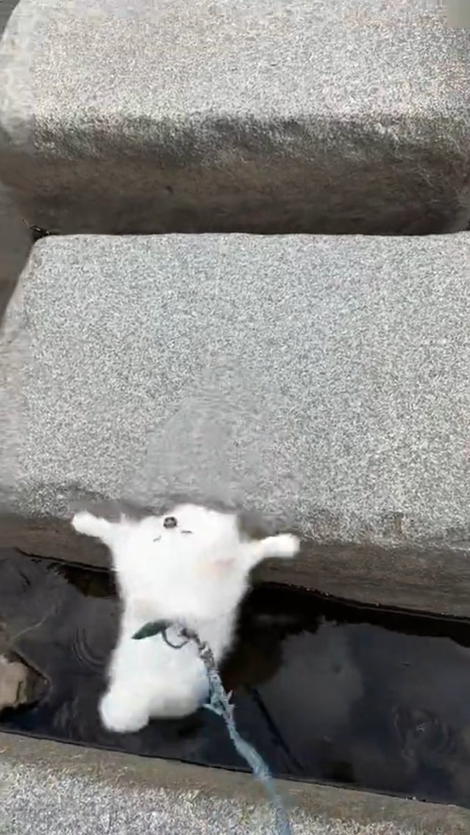 아니이ㅣ이이이  눈질끈감아떠ㅓㅓㅠㅠㅋㅋㅋㅋㅋ귀여워