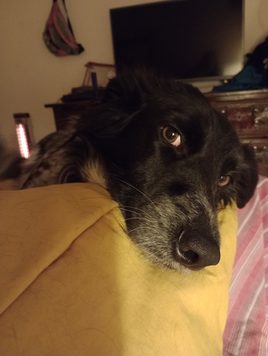 Ella también lo extraña...