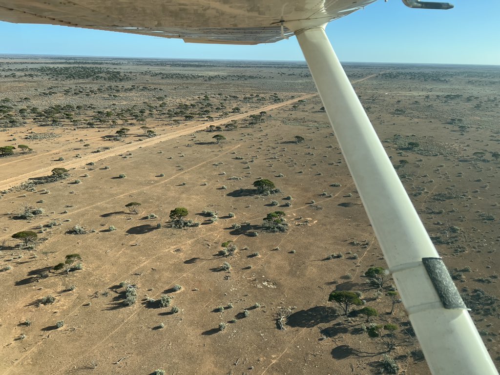 RuralValuer's tweet photo. Great few days inspecting in the far reaches of our country. #Nullarbor #agribusiness #KnightFrank @HopkinsClive @AndrewAGHay #2millionacresheepstation https://t.co/koconviNy3