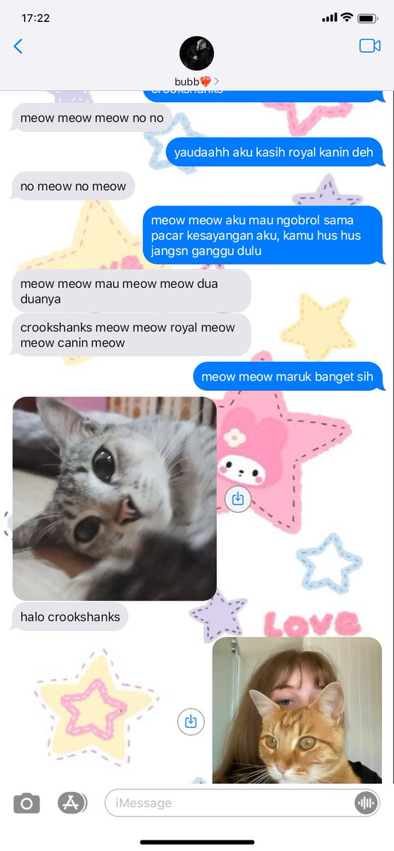 wxlaan's tweet photo. #dramione au lokal!
two tweets
- meow! https://t.co/J8bs25vlHi