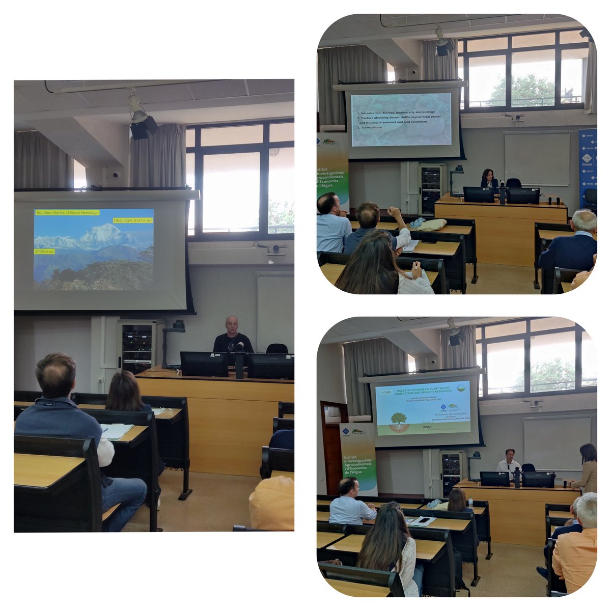 Inagea_es's tweet photo. Ayer fue la 2° sesión de los Seminarios de Primavera del #INAGEA con la participación de Jiri Dolezal, University of South Bohemia, Asunción Morte, de la Universidad de Murcia y José Manuel Colmenero, @IRNASE-CSIC.
Damos por finalizados los Seminarios, hasta el año que viene! https://t.co/u1MsiMhI2d