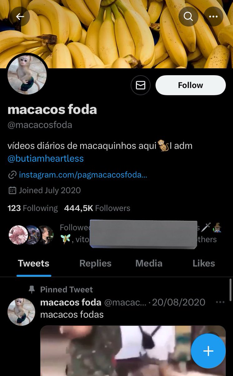 Vejo várias pessoas do rp dando rt no conteúdo da @/macacosfoda. Os macacos dessa conta são vitimas de zoofilia e todo tipo de abuso, a dona da conta sabe e zoa da situação e bloqueia cada vez que é avisada, ela qpoia todo o abuso que os “macaquinhos fofos” na conta dela sofrem.
