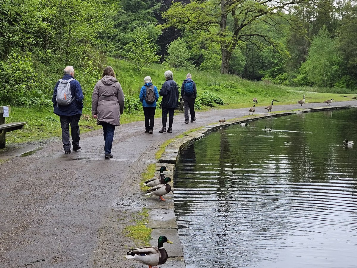 LouRobbins's tweet photo. I enjoyed a lovely walk, conversation and café stop on the @BracondaleChamp Social stroll. #GMWalking Festiva. We saw ducks, geese, the allotments and some friends from over 25 years ago! Walking is great to connect and discover  @gmwalks https://t.co/LV565EKfQB