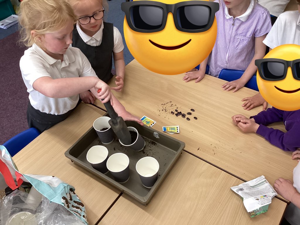 TadPrimaryAcad's tweet photo. Jupiter team learned about different types of seeds. We know that seeds grow into plants and trees. @eboractrust #Tadcasterscience https://t.co/dDnCyBXmQx