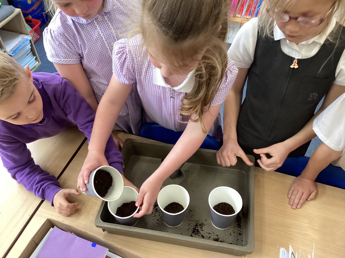 TadPrimaryAcad's tweet photo. Jupiter team learned about different types of seeds. We know that seeds grow into plants and trees. @eboractrust #Tadcasterscience https://t.co/dDnCyBXmQx