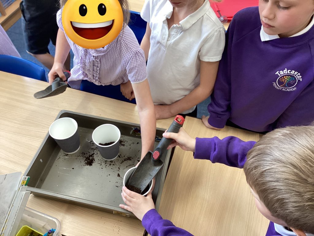 TadPrimaryAcad's tweet photo. Jupiter team learned about different types of seeds. We know that seeds grow into plants and trees. @eboractrust #Tadcasterscience https://t.co/dDnCyBXmQx