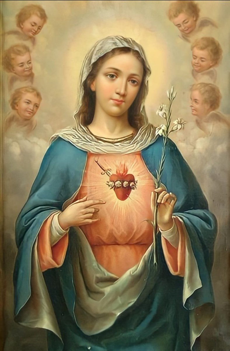 “No created mind, no created heart, no human force is capable of knowing how much love the Heart of Mary had for Our Lord.” -St Jerome #MonthofMary #QueenofHeaven #ImmaculateHeart
