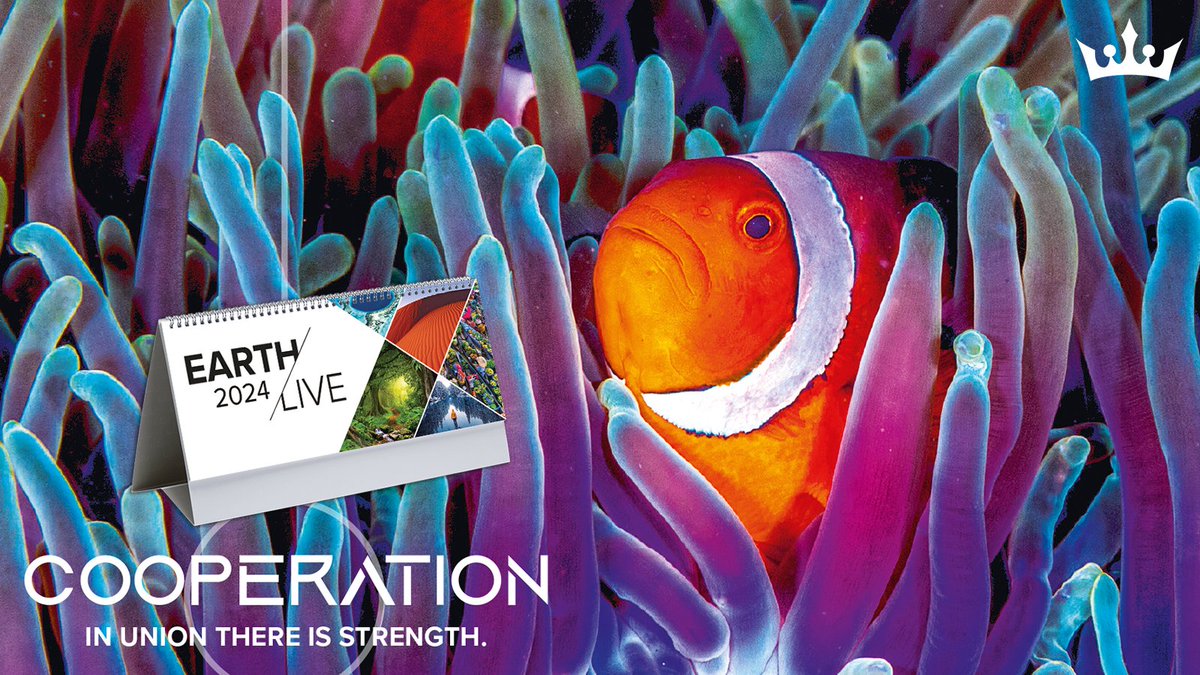 Market your business with the stunning Earth Live promotional desk calendar.

allanandbertram.com/calendars/eart…

#BusinessGrowth #MarketingSuccess #collaboration #promotionalcalendars