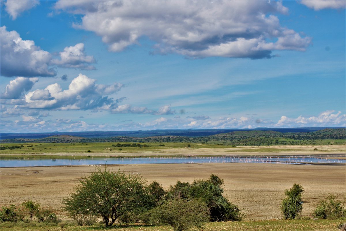nevzKe's tweet photo. The experience Shompole Conservancy, view of Flamingoes on Lake Magadi. 

@loitasafaris helps to make the memories memorable.

📸 @nevzke

#loita #shompole #conservancy #wilderness #Lake #flamingo #zebra #hotsprings #photo #photooftheday #wildlifephotography https://t.co/9leu81ieAN