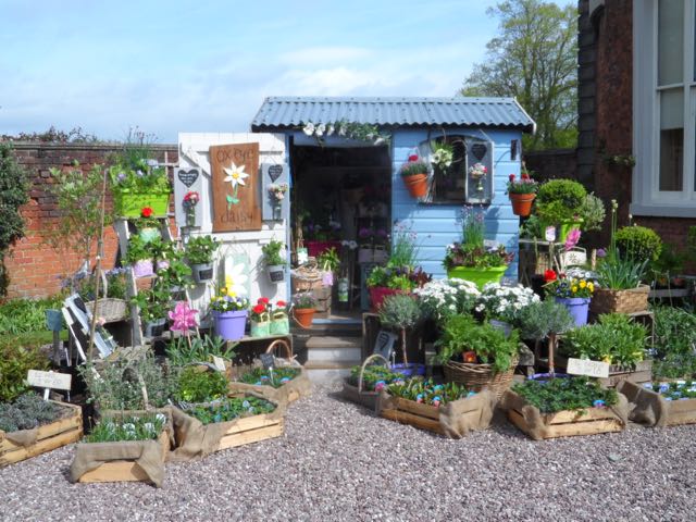 Looking forward to our Specialist Plant Fair Bank Holiday Monday 29th May 11-4pm.
Reduced admission £5 includes entry to the gardens.
Courtyard kitchen open &amp; dogs on leads welcome.
Tickets available online beyonk.com/uk/jmrp8rvo/sp… and on the gate #plantfairs