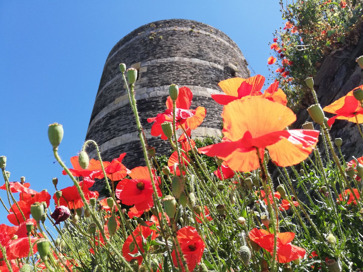 Au #chateauAngers #visitAngers