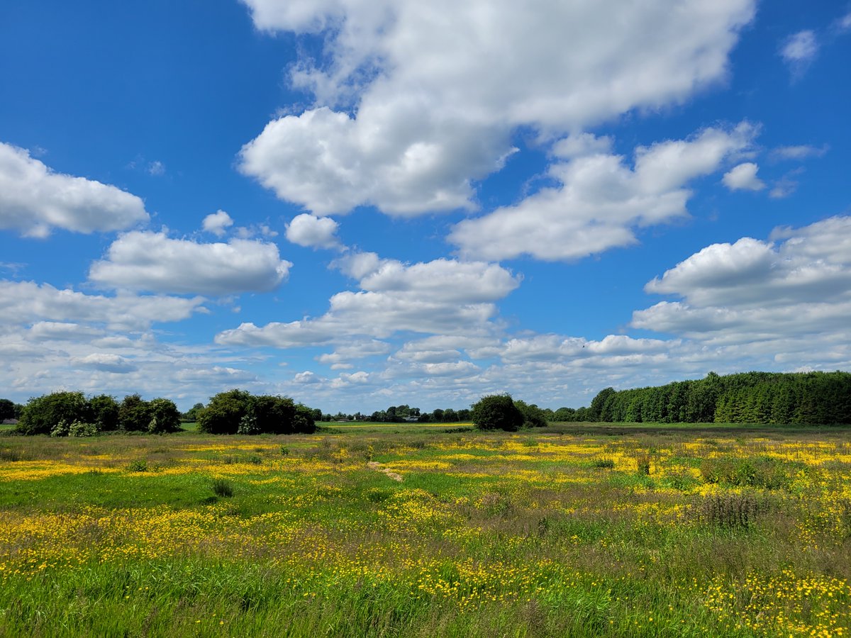 Farm Walk
Monday 22nd May 11:30am
Join <a href="/TomTierney18/">Tom Tierney</a> and <a href="/BioDataCentre/">Biodiversity Ireland</a> to celebrate International Day for Biological Diversity

Email eip@biodiversityireland.ie to register

#BiodiversityDay 
#BiodiversityWeek2023 
#FarmlandBiodiversity
<a href="/KildareHeritage/">Kildare Heritage</a> 
<a href="/PollinatorPlan/">All-Ireland Pollinator Plan</a>