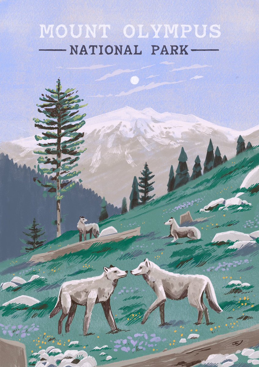 Here’s part of a National Park series I’m working on 🐺🏔️🌲 #illustration