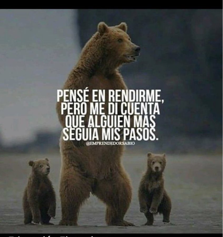 JOSE ORLANDO PEREZ tweet media