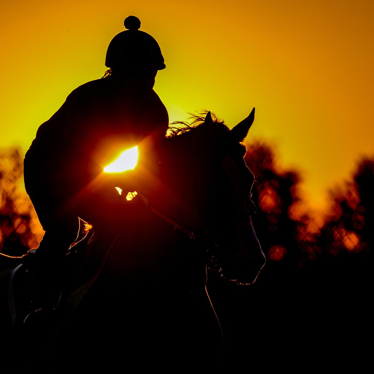 The sun rises on #Preakness148 Weekend.  Happy Black-Eyed Susan Day!