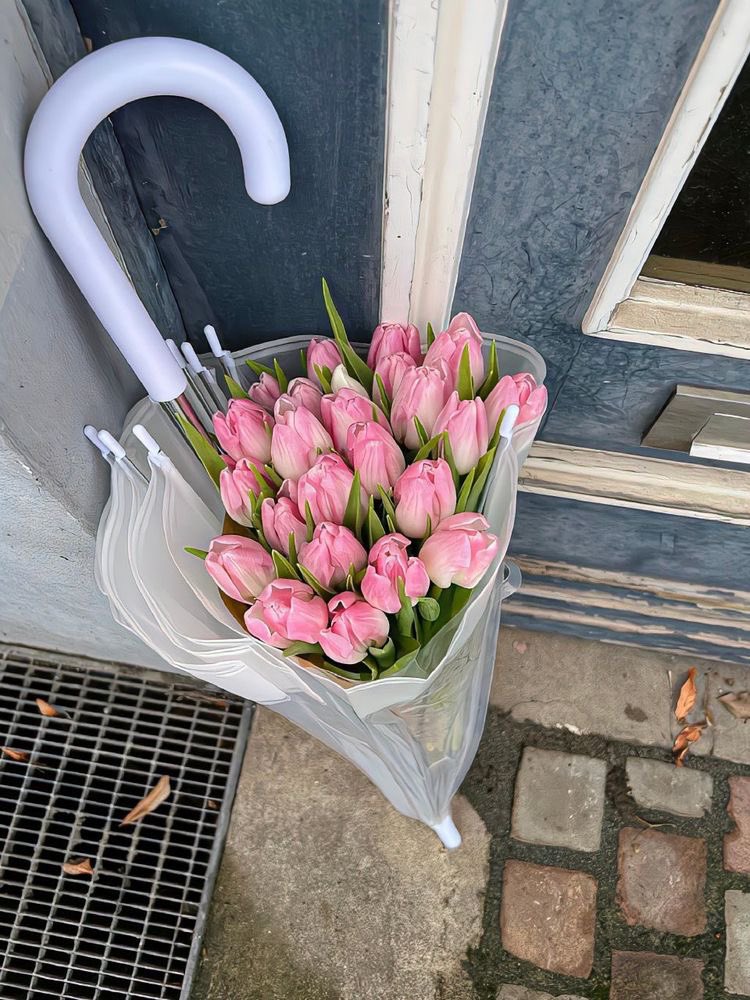 شعُور . tweet media