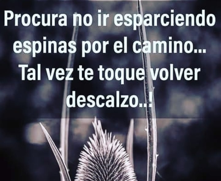 #cosasdemitierra. Sigo aconsejando tener cordura en ésta política q se avecina en San Andrés d sotavento pero veo q no les importa la guerra está declarada en las redes sociales y seguro en muchas cosas ➕como ya públicamente dicen en las calles, acaso esto se volvió personal?.
