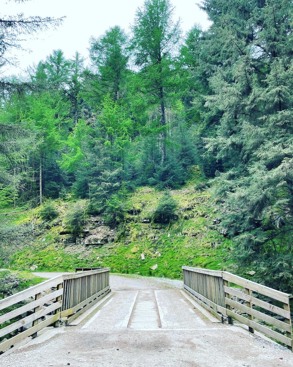 jordswfc95's tweet photo. #peakdistrict #photograghy #snakepass https://t.co/JGuGq4R05u