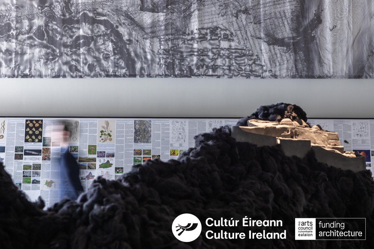 Culture_Ireland tweet media