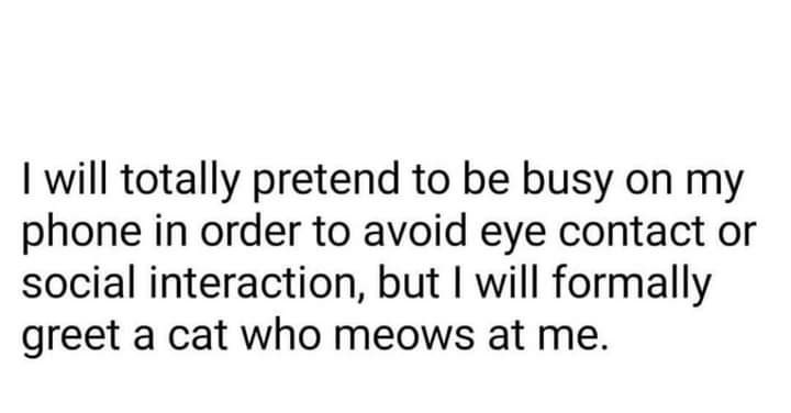 ChocoSabina11's tweet image. #Goals #EverySingleDay #welcomeWeekend #meow #introvert