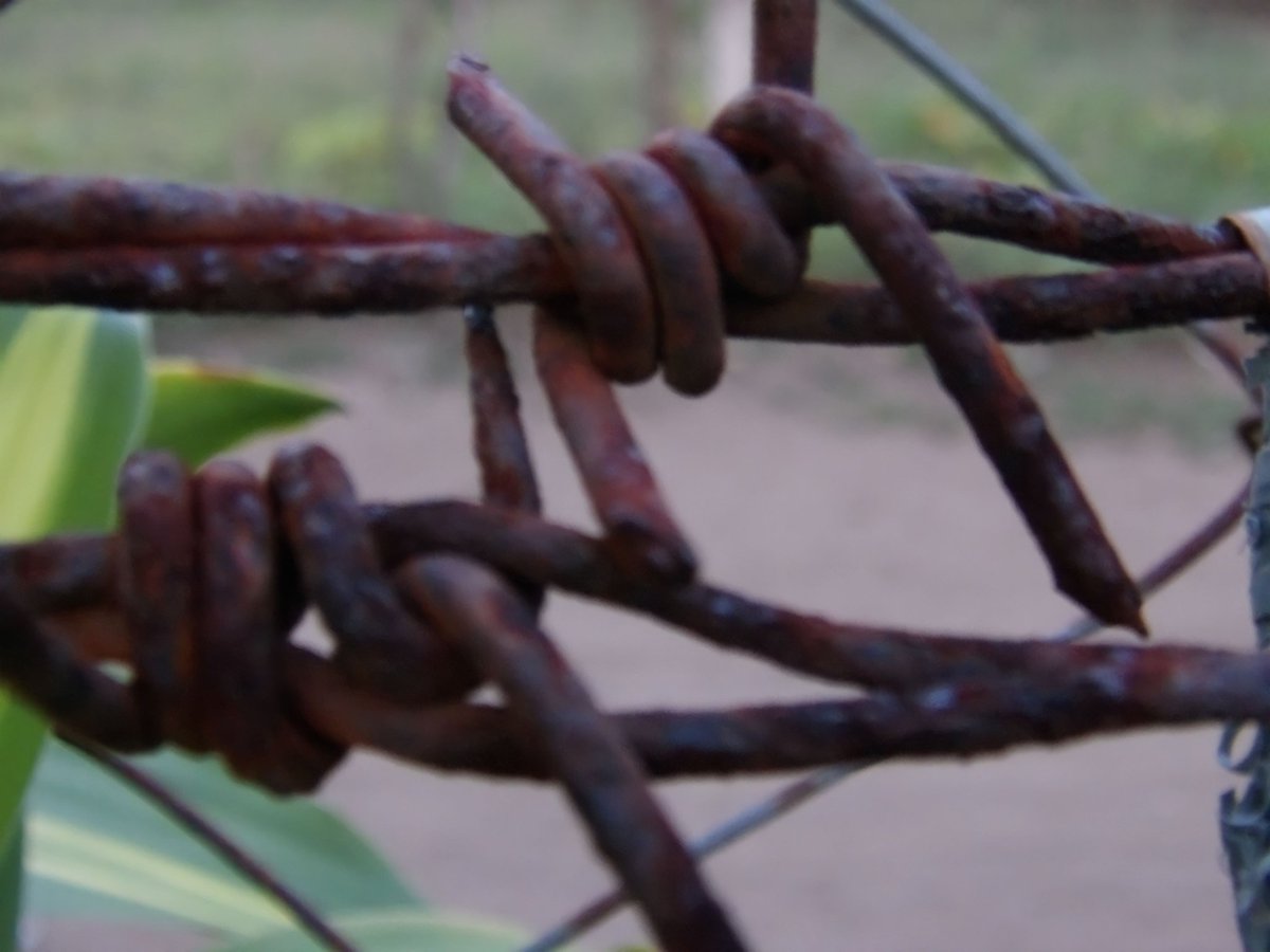 xmagayonx's tweet image. When I always say "lens lang ang katapat kyan" every time I see a potential subject, and now I can finally prove that indeed, lens lang ang katapat kaiyan. #kodakpixpro