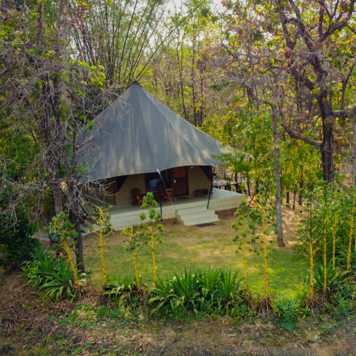 Inspired by the old world charm of living under the canvas, our founding lodge offers you an option to camp amidst the lush green surroundings but with luxury and all the modern amenities.

📷 : <a href="/madiartymko/">madison</a> 

Visit: junglecampsindia.com 

#Junglecampsindia