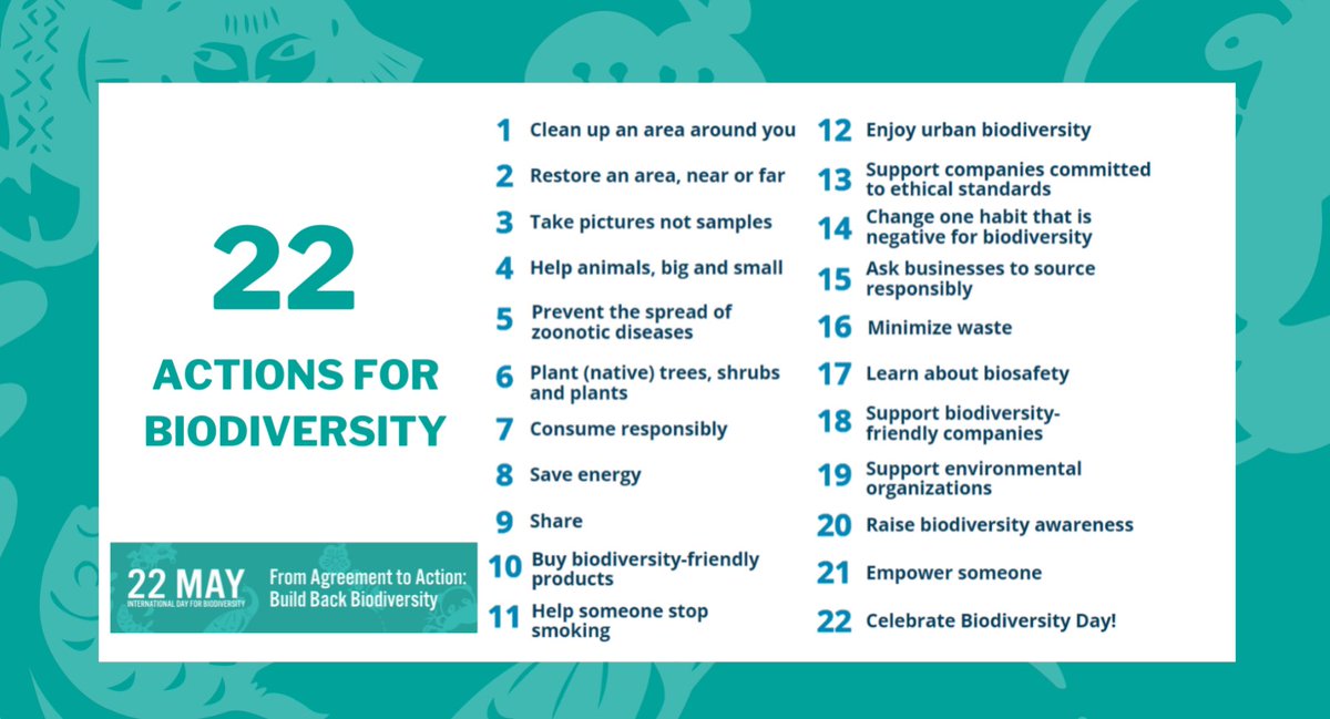 networknnb's tweet photo. #giornatamondialebiodiversità 22 maggio 2023. “dall’Accordo all’azione: ricostruire la biodiversità”
#CBDCOP15
#obiettiviONU
#Agenda2030
22 azioni per la #biodiversità
@ISPRA_Press
@GBIF https://t.co/Vk2Q9ZKaET