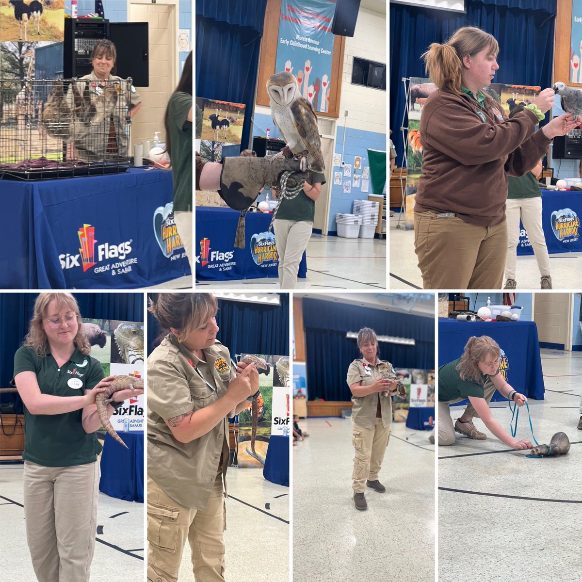 Thank you to Six Flags Great Adventure for introducing us to these cool friends 😊