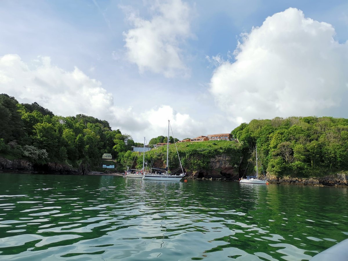 Exciting news! Check out our latest blog post highlighting the success of our seagrass-friendly moorings in Fishcombe Cove. 🌱🌊 

Visit >> bit.ly/3q119wM

#SeagrassConservation #MarineEcosystems #WildPlanetTrust #SustainableBoating #OceanConservation