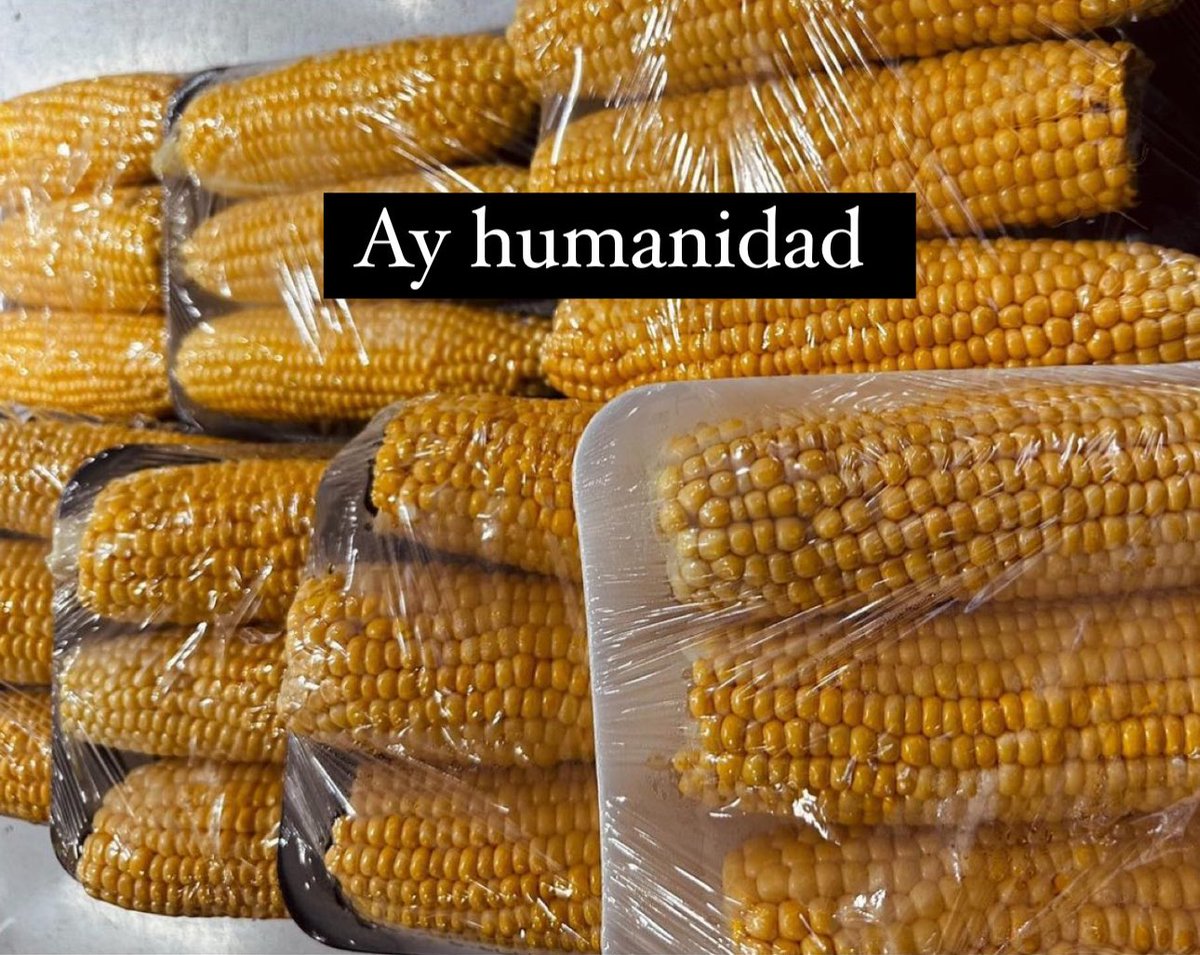 FabBallarini's tweet photo. Miles de años de evolución nos regalaron un packaging biodegradable. Que además sirve para conservar el choclo por muchos días luego de su cosecha. Pero lejos de todo razonamiento lógico y en el medio de una crisis climática, deciden quitarle su envoltura para colocarle  PLÁSTICO https://t.co/luJYzve6jd