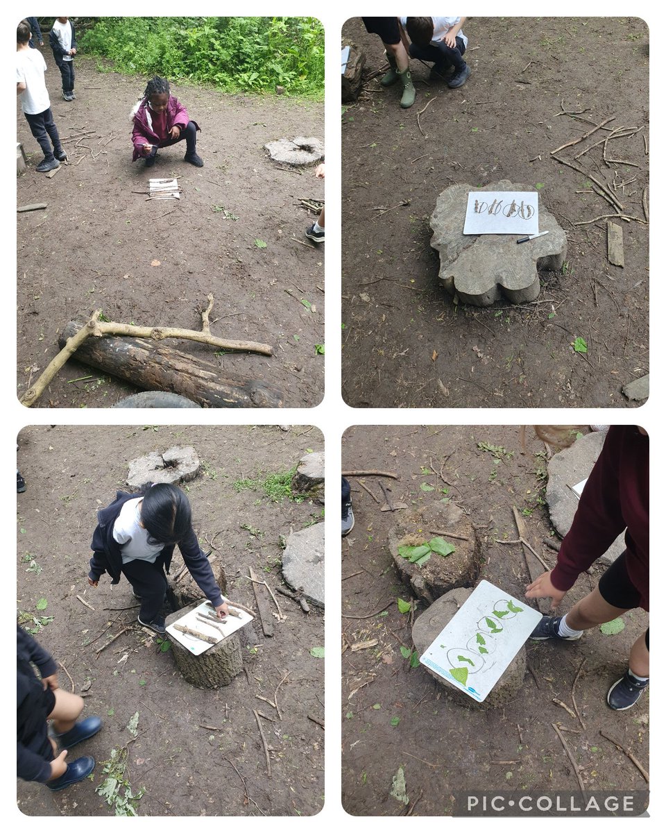 Miss Staniforth (@missstaniforth) on Twitter photo We loved taking our maths outside for #OutdoorClassroomDay we practiced our sharing. <a href="/RTurffrey/">Rachel Turffrey</a> <a href="/abbotsmaths/">Abbots Langley Maths</a> We loved taking our maths outside for #OutdoorClassroomDay we practiced our sharing. <a href="/RTurffrey/">Rachel Turffrey</a> <a href="/abbotsmaths/">Abbots Langley Maths</a>