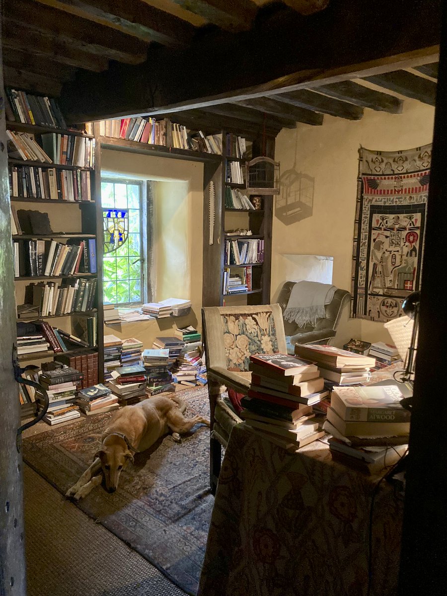 JudyCorbett's tweet image. By the time I&apos;ve finished my novel, the briars will have completely blocked up the window! #getonwithit