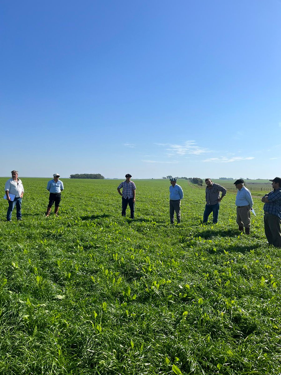 Excelente gira técnica de pasturas tuvimos ayer con el equipo de <a href="/AngusElYunque/">El Yunque</a> en Cerro Largo

Excelentes pasturas y manejo. 

Felicitaciones!! 👏👏

Muchísimas gracias por la confianza y el recibimiento

#geneticaangusdepunta
#geneticaforrajeradepunta