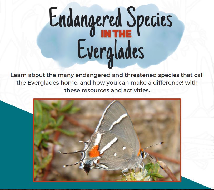 EvergladesEducation tweet media