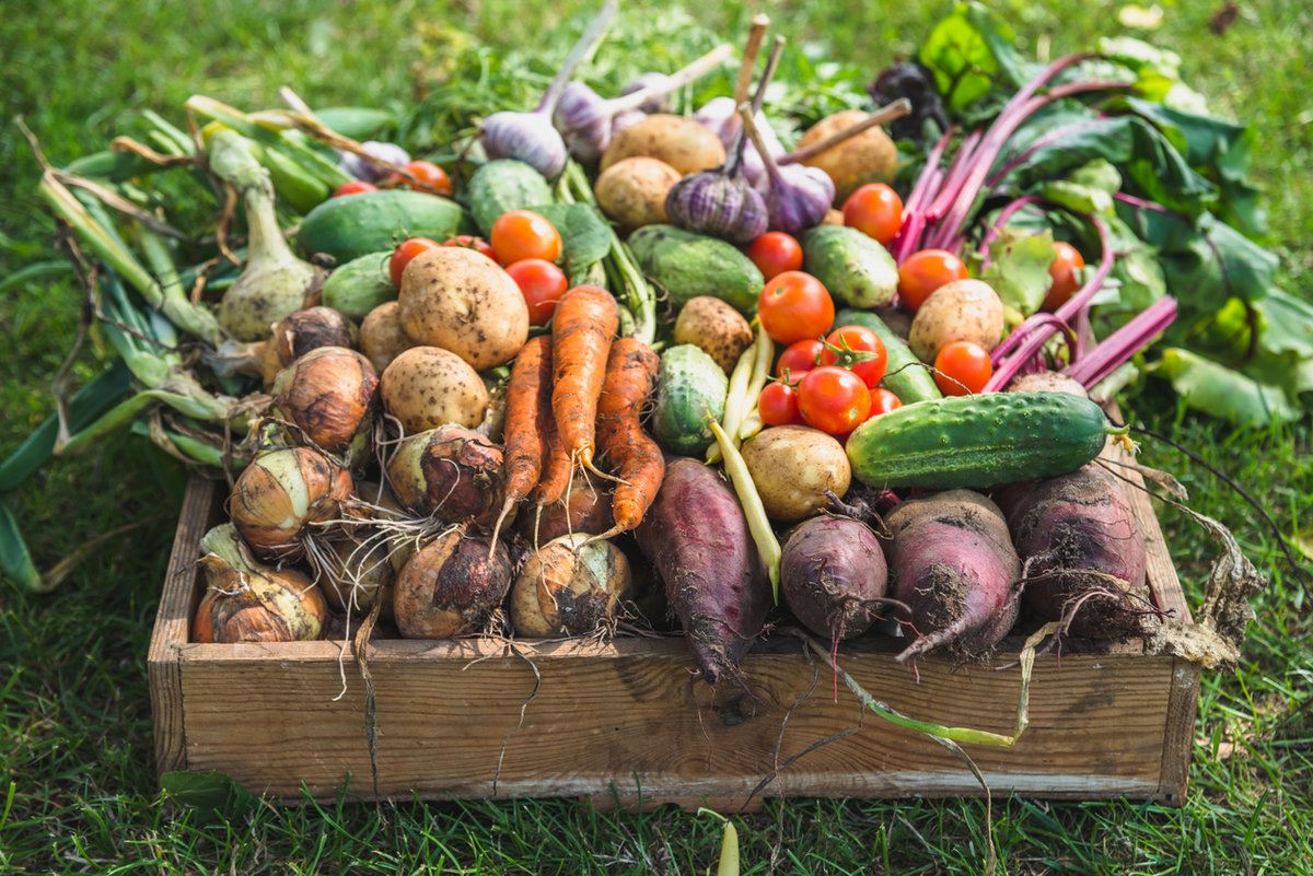 ...from sustainable methods to emerging technologies 🤖

End the week right with part 2 of SOS: Food, where we explore new ways researchers are contributing to feeding the planet 🌍

open.spotify.com/episode/0t1TNR…