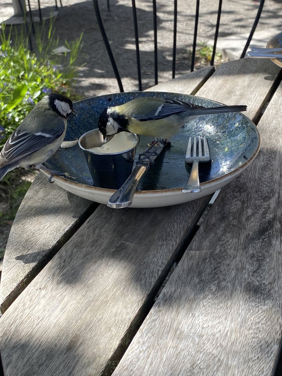 IEAmbSweden's tweet photo. Lunch for two @ModernaMuseet in Stockholm. https://t.co/9xdQDwFWzT